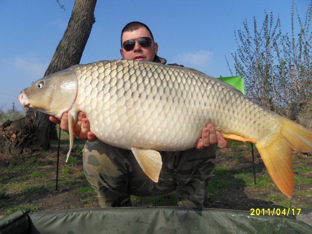 Nagykallo 2012 - rzv2012-133.JPG